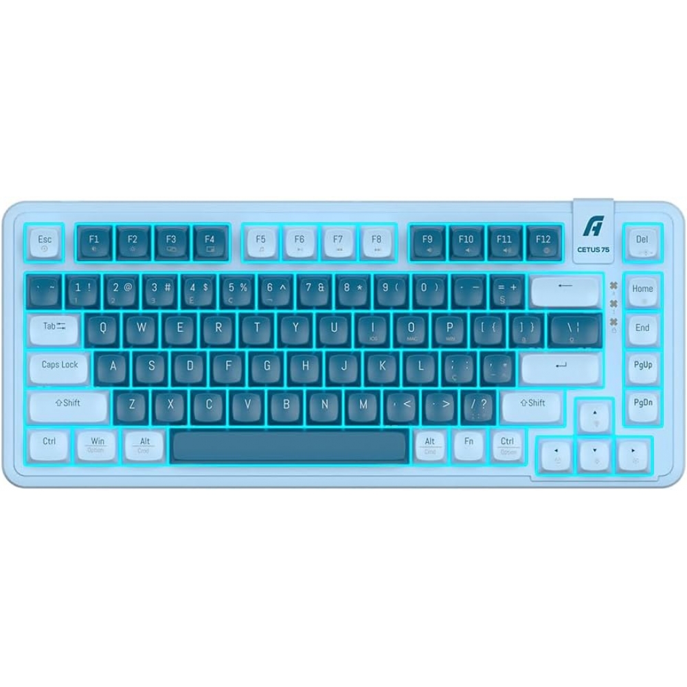 Teclado Mecanico Gamer Aplus Gastek Cetus 75 AK200